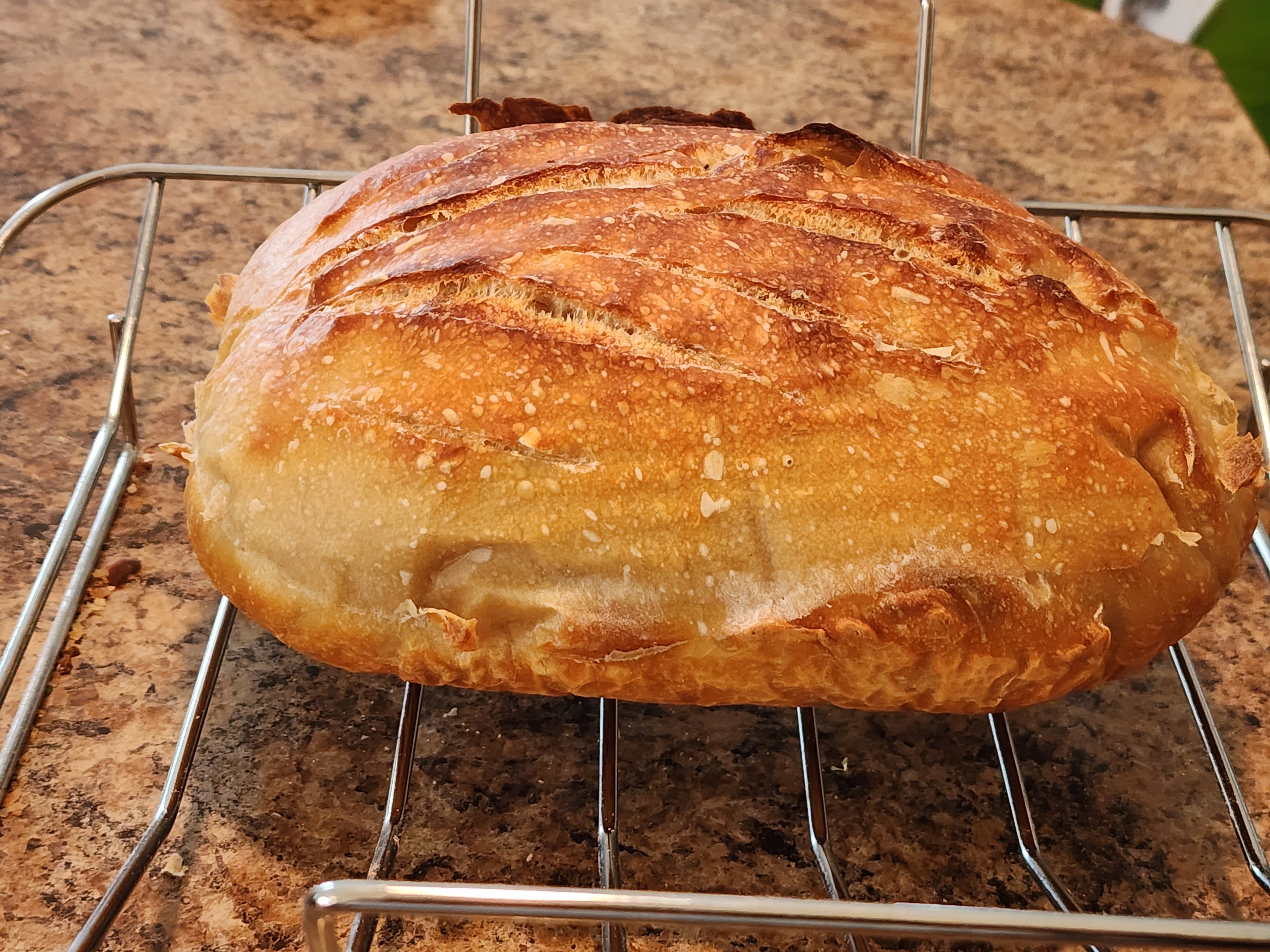 Sourdough bread